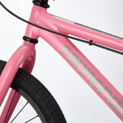 Cannondale Trail Single-Speed 20