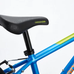 Cannondale Trail Single-Speed 20