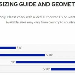 TRIATHLON SUITS Giant Trinity Advanced Rim Brake Triathlon Bike