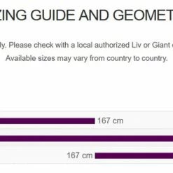 2020 Liv Avow Advanced Pro 1 Women's Triathlon Bike