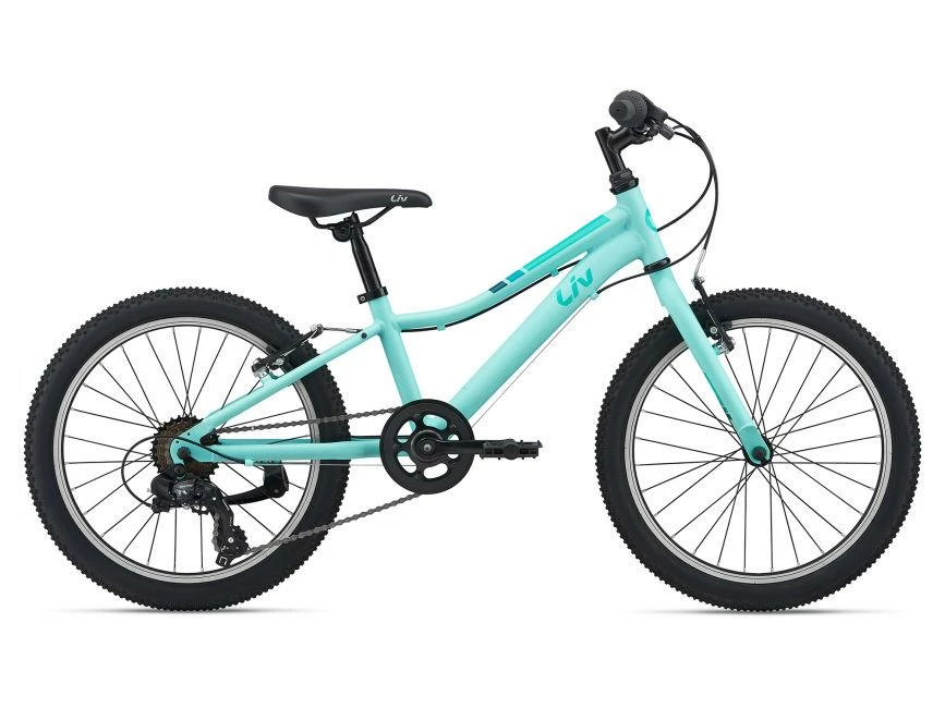 GIANT SALE Liv Enchant 20" Lite Girl's Bike