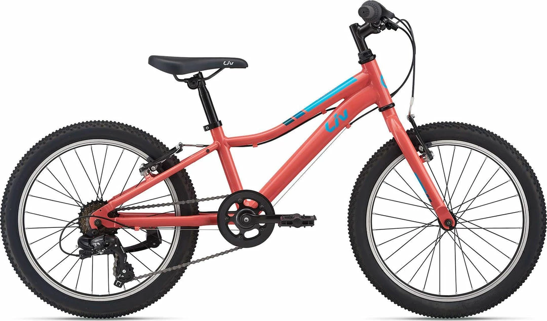 GIANT SALE Liv Enchant 20" Lite Girl's Bike
